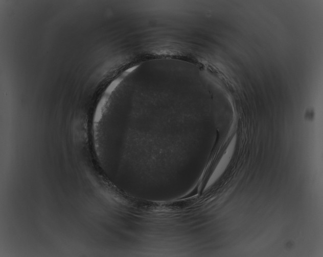 X0000095540547200801041311