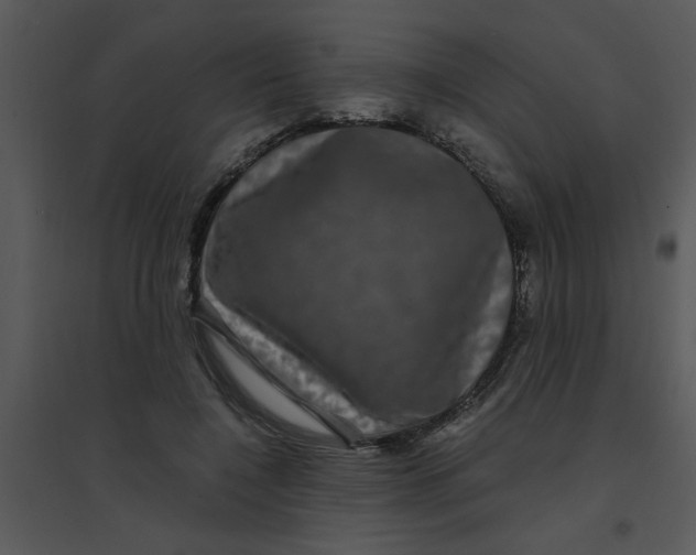 X0000095540548200801041311