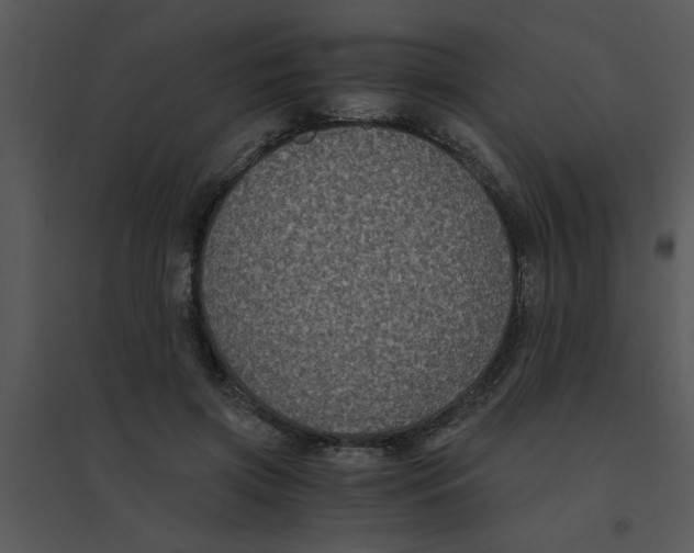 X0000095540549200801041311