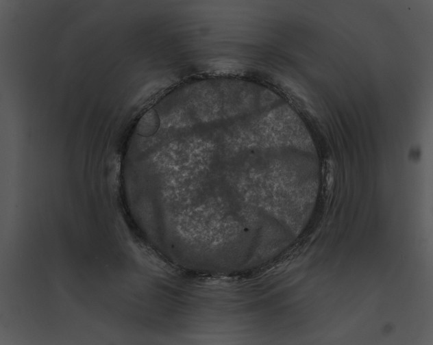 X0000095540550200801041311