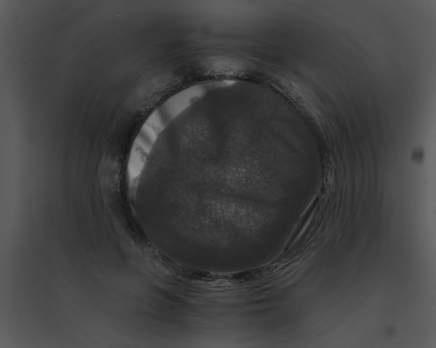 X0000095540551200801041311