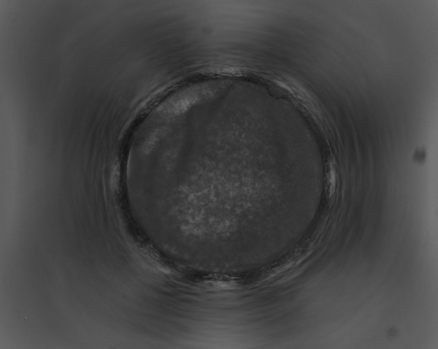 X0000095540552200801041311