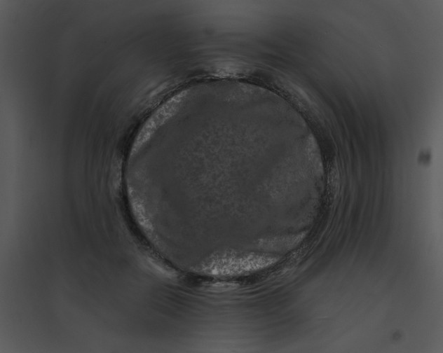 X0000095540554200801041311