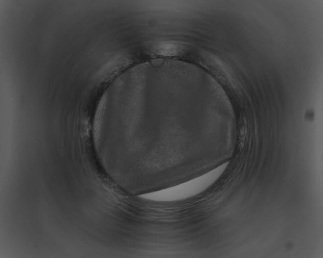 X0000095540555200801041311