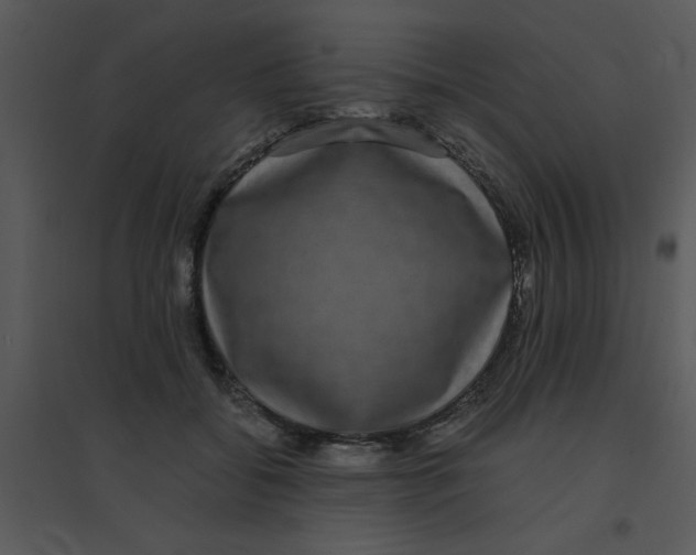 X0000095540556200801041311