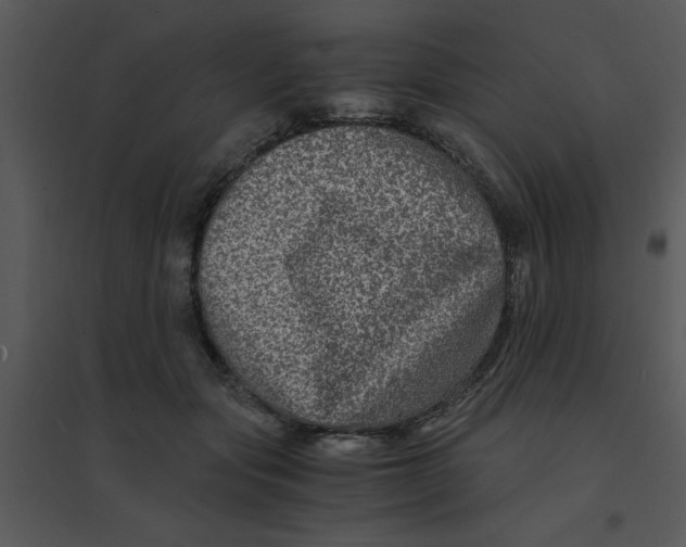 X0000095540557200801041311