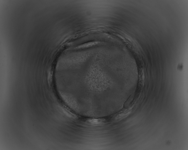 X0000095540558200801041311