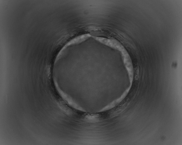 X0000095540560200801041311