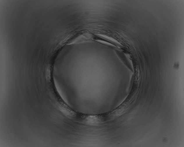 X0000095540562200801041311