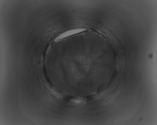 X0000095540563200801041311