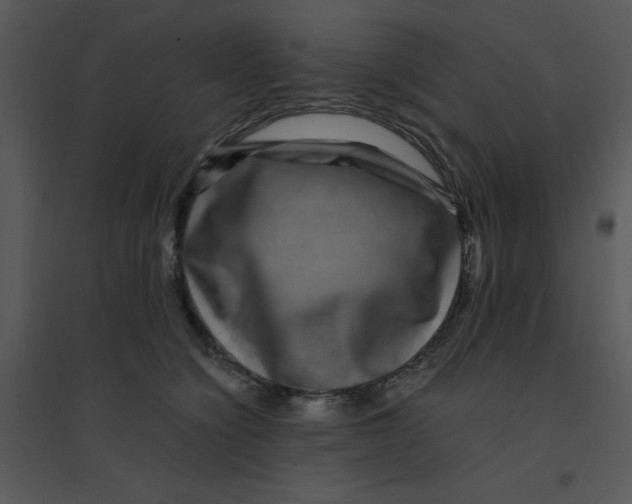 X0000095540564200801041311