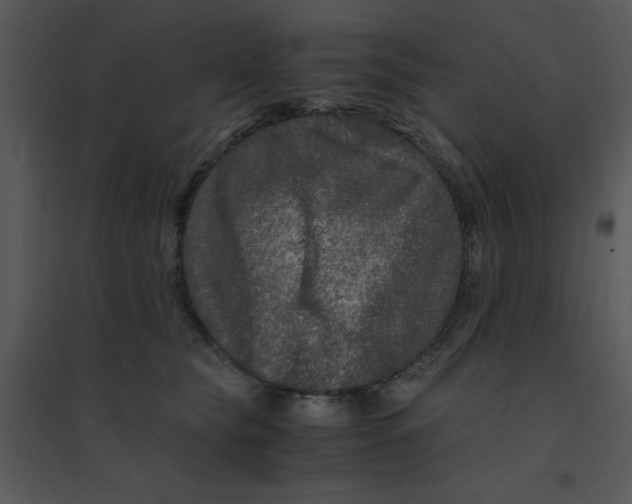 X0000095540565200801041311