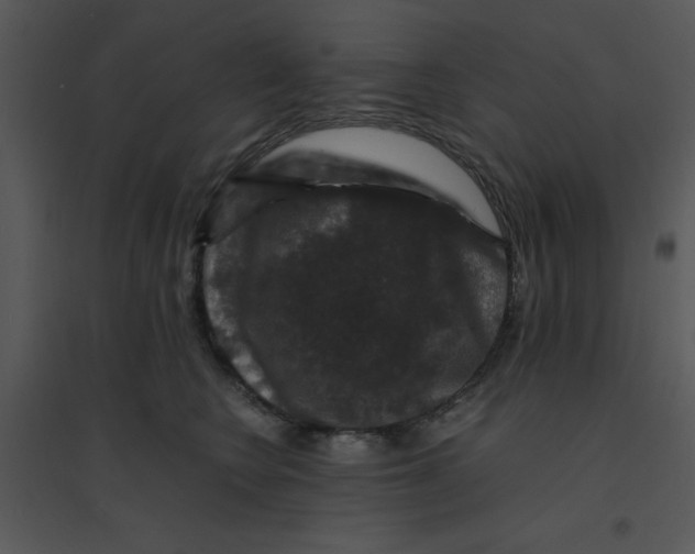 X0000095540566200801041311