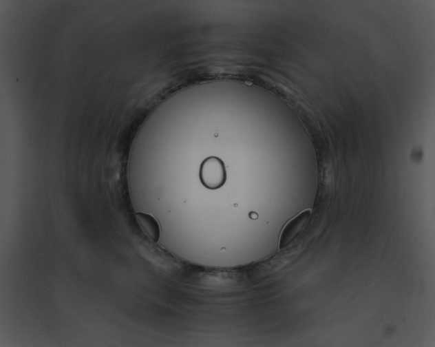 X0000095540567200801041311