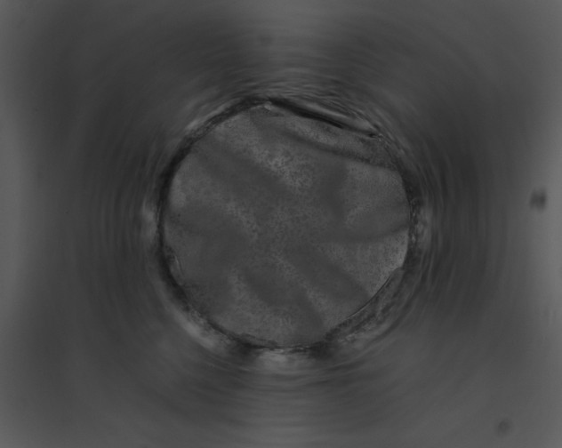 X0000095540568200801041311