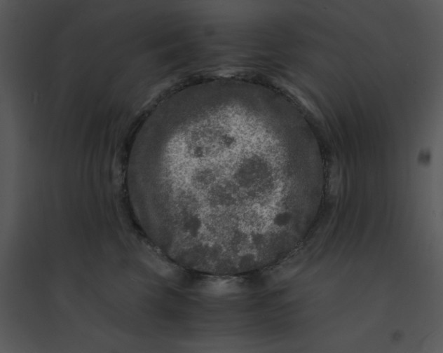 X0000095540569200801041311