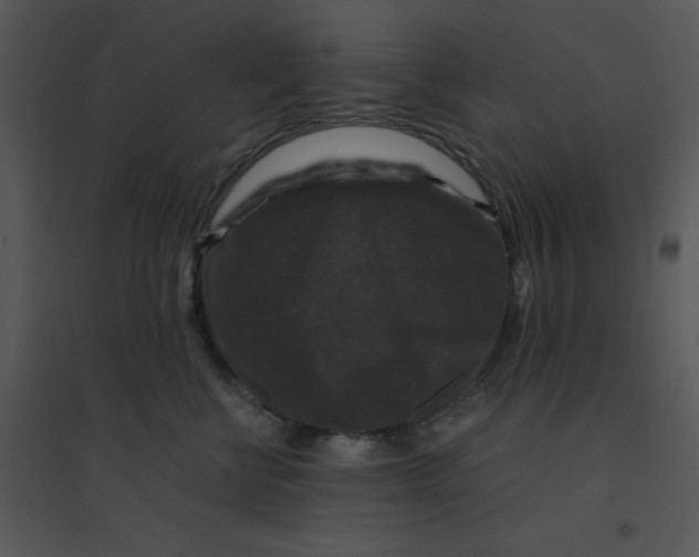 X0000095540570200801041311