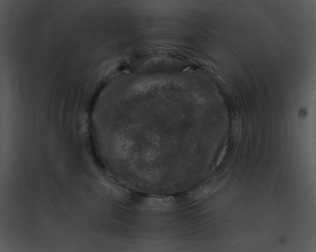 X0000095540571200801041311