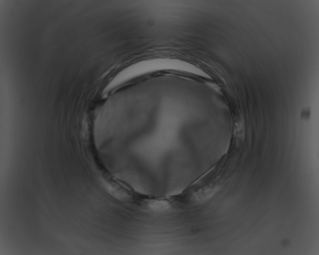 X0000095540572200801041311