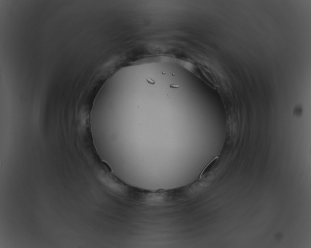 X0000095540574200801041311