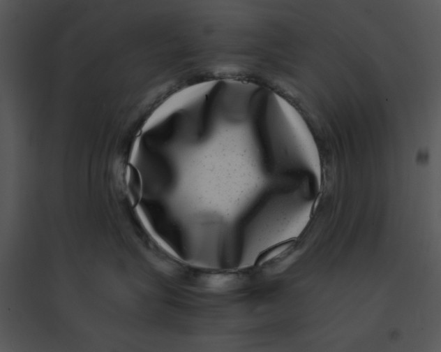 X0000095540575200801041311