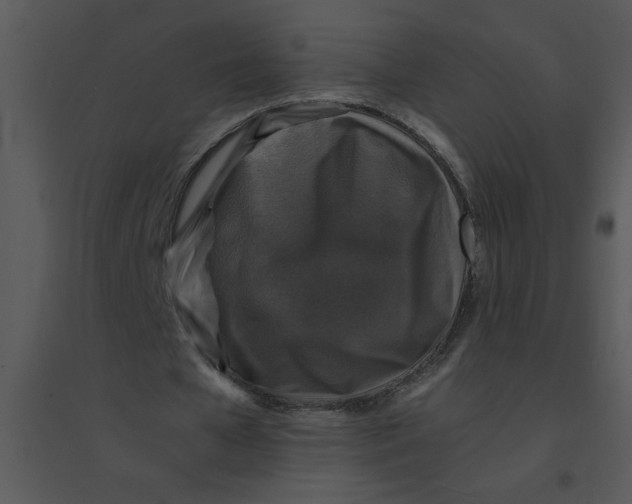 X0000095540577200801041311