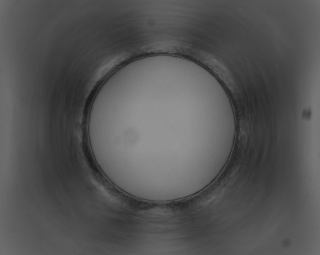 X0000095540578200801041311