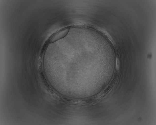 X0000095540579200801041311