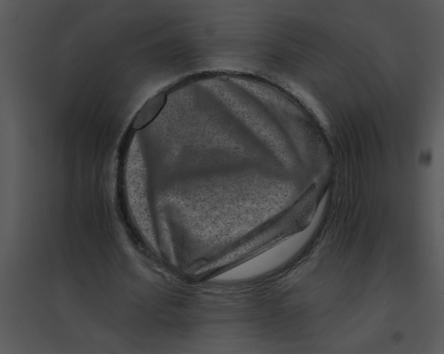 X0000095540580200801041311