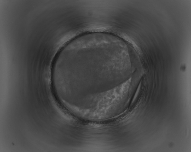 X0000095540582200801041311