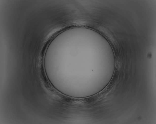 X0000095540583200801041311