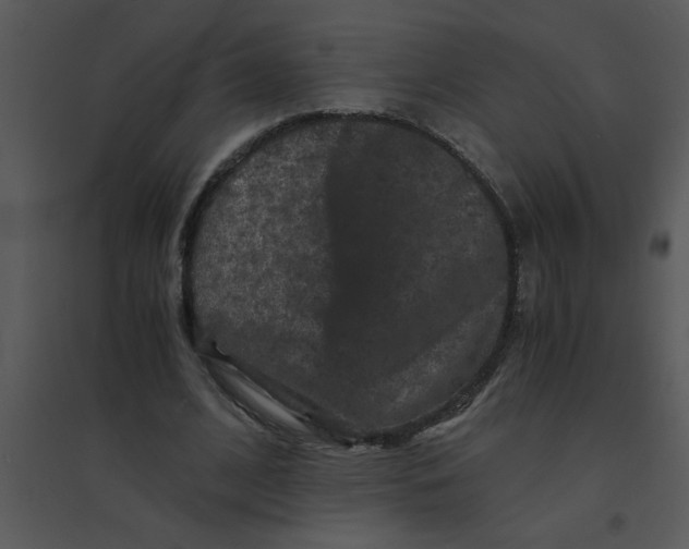 X0000095540584200801041311