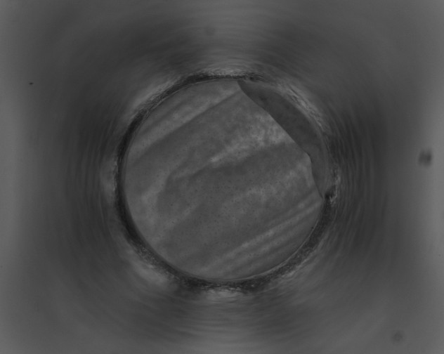 X0000095540586200801041311