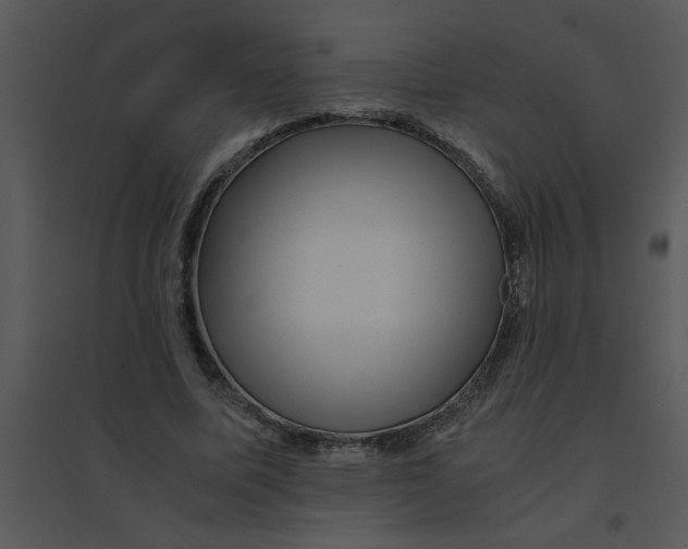 X0000095540587200801041311