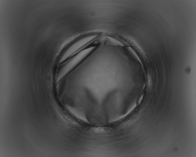 X0000095540588200801041311