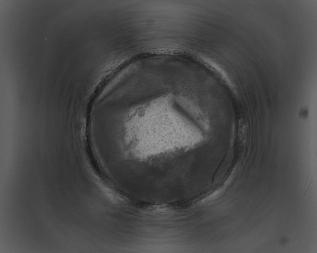 X0000095540589200801041311