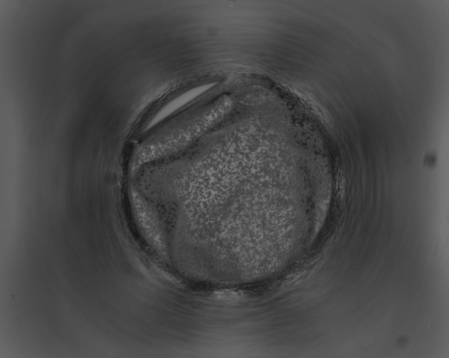 X0000095540591200801041311