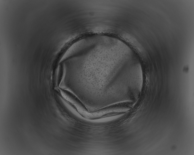 X0000095540592200801041311