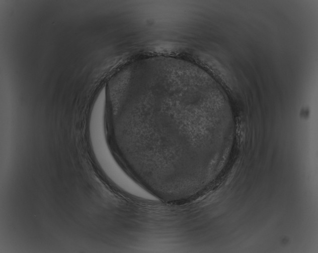 X0000095540593200801041311