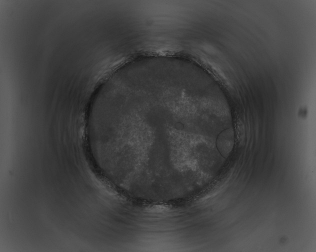 X0000095540594200801041311