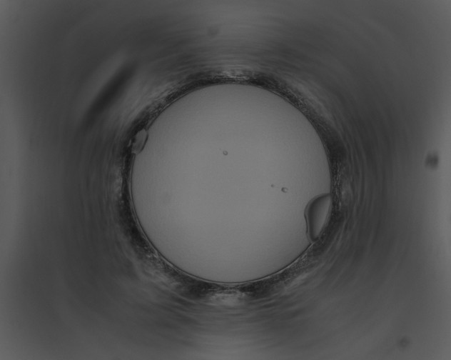 X0000095540595200801041311