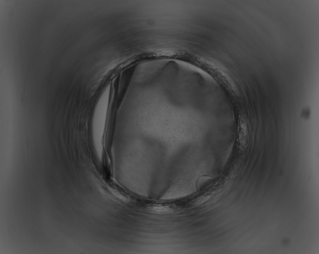 X0000095540596200801041311