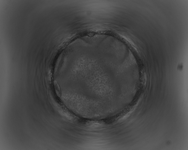 X0000095540597200801041311