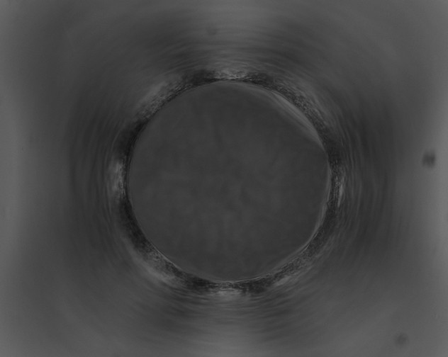 X0000095540598200801041311