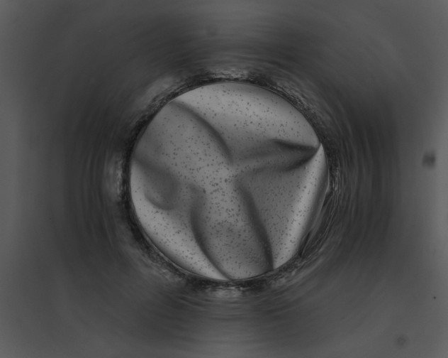 X0000095540600200801041311