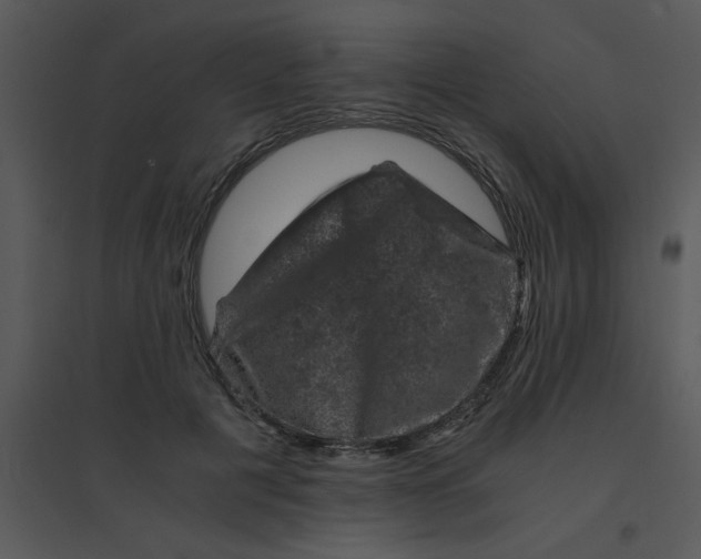 X0000095540601200801041310