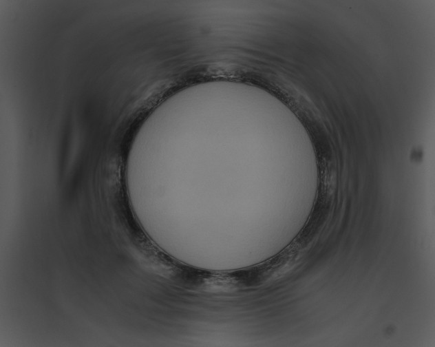 X0000095540603200801041310