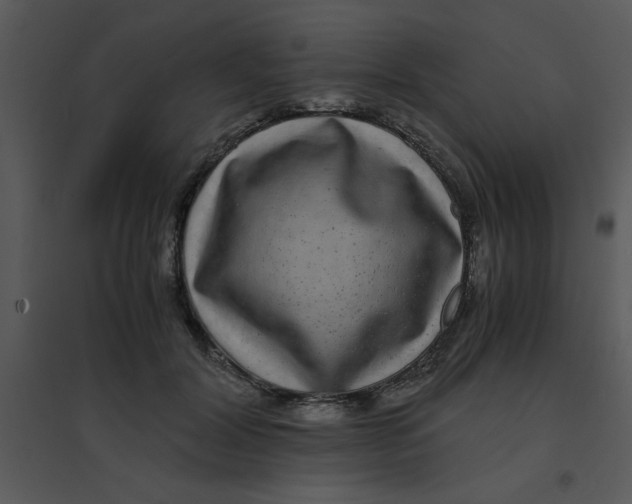 X0000095540604200801041310