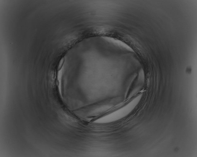 X0000095540605200801041310