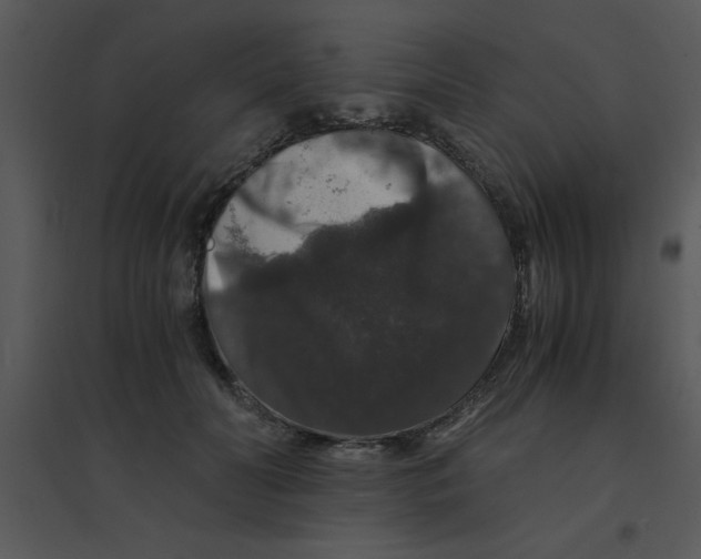 X0000095540606200801041310